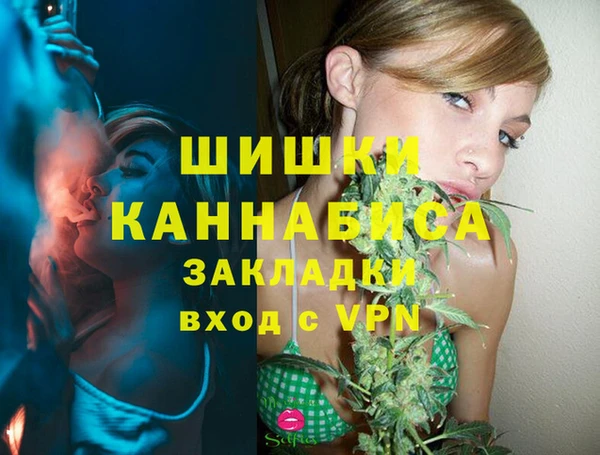 соль курить ск Заводоуковск