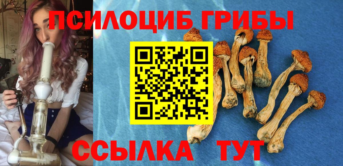 Галлюциногенные грибы прущие грибы  Галлюциногенные грибы Magic Shrooms  Улан-Удэ  Вход с VPN 